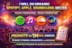 do organic spotify apple souncloud deezer music promotion track promotion