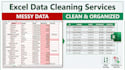 do professional data cleaning, data formatting, and remove duplicates in excel