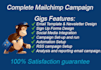 complete mailchimp email campaign