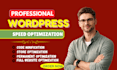 speed up wordpress website for pagespeed insight