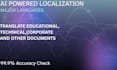 provide professional technical localization