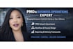 optimize and set up your pmo, project delivery, and business