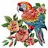do digitizing embroidery designs in dst emb pes files