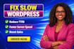 fix slow wordpress website, reduce ttfb and improve loading speed fast