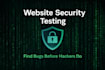 test your website for security vulnerabilities and bugs