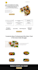 designed a lead magnet funnel and sales funnel