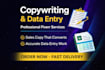 do accurate data entry, copy paste, excel, web research