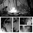 comic book page illustration, graphics novel art