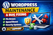 provide wordpress support, fixes, migration and regular maintenance