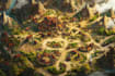 fantasy map illustration for map