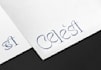 create a logo or graphic charter that reflects you
