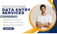 do excel data entry, spreadsheet cleanup, PDF data conversion in 24h
