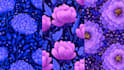 design textile fabric pattern design for you