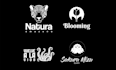 logo desing professional and brand identify