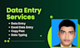 excel data entry copy paste