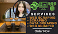 do python web scraping, web scraper and data extraction fast