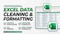 professional excel data entry data cleaning excel dashboard