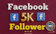 get you 20,000 facebook USA followers high quality service