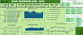 provide excel data analysis dashboards automation