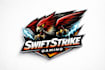do professional custom logo animation and motion graphics
