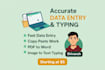 fast and accurate data entry and typing work