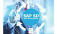 provide sap sd configurations, help in sap sd real time issues and training
