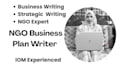 write a professional nonprofit business plan and strategic plan