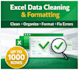 clean, fix and format excel or CSV data professionally
