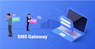 provide SMS gateway integration services