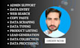 do fast accurate public records data entry and data typing