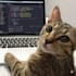 research and write high quality content