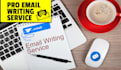 write a professional email
