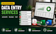 do accurate data entry, copy paste,pdf to excel web research