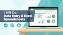 data entry, excel spreadsheets, and data organization
