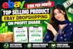 do expert ebay dropshipping on profit share