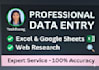 do professional data entry and web research tasks