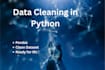 clean and preprocess your dataset using python pandas