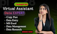 do data entry virtual assistant typing work job ms excel