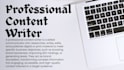write professional blog posts and web copy