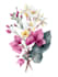 design a botanical illustration