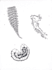 create botanical scientific illustrations using pointillism