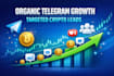 do organic telegram channel crypto promotion and targeted lead generation