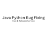 fix java and python coding bugs