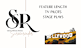 provide professional coverage for your script
