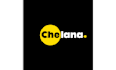create professional graphic designs, logo, social media