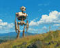 draw cute cartoon robots and fun robot characters