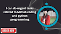 do urgent matlab coding with simulation and python ptogramming