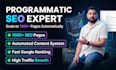 create thousands of optimize pages with programmatic SEO to rank your website