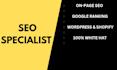 rank your shopify store with on page SEO