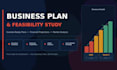 write a professional business plan and feasibility study